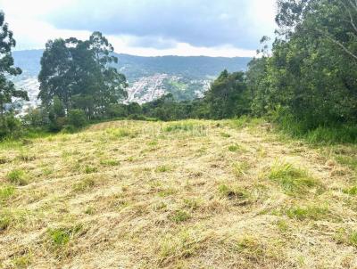 Terreno para Venda, em Rio do Sul, bairro Sumar