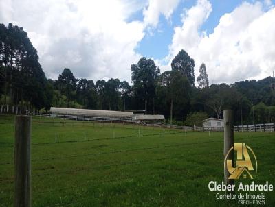 Chcara para Venda, em , bairro PALMEIRAS