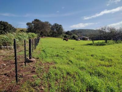 Chcara para Venda, em So Jos do Cedro, bairro LINHA SANTO INACIO