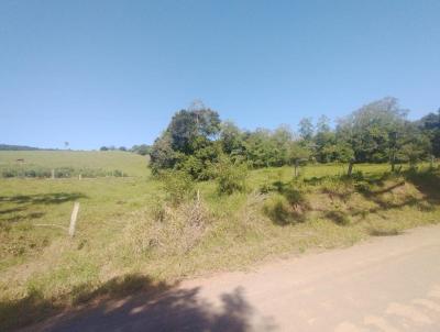 Terreno para Venda, em , bairro Linha Caloni