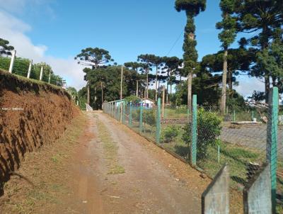 Chcara para Venda, em Quatro Barras, bairro Palmitalzinho