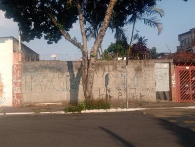 Terreno para Venda, em So Paulo, bairro Parque Edu Chaves