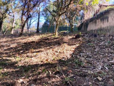 Terreno para Venda, em Cotia, bairro Chcaras do Refgio