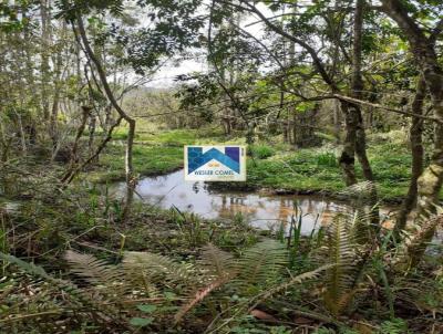 rea Rural para Venda, em Mogi das Cruzes, bairro Taiacupeba