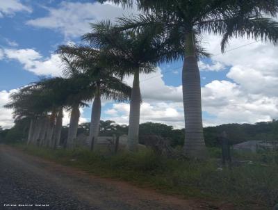 Terreno para Venda, em Piedade, bairro Boa Vista