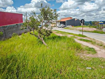 Terreno Comercial para Venda, em Jarinu, bairro Vila Primavera