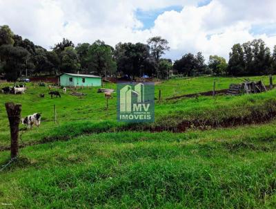 Terreno para Venda, em Guarapuava, bairro Jordo