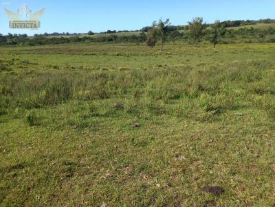 Campo para Venda, em Santana do Livramento, bairro Passo Do Trilho