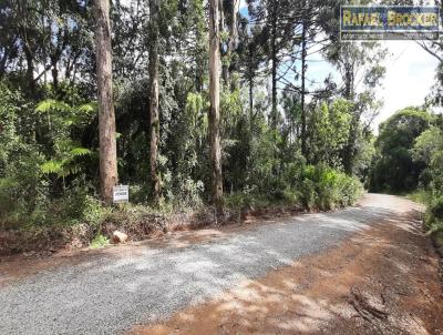 Stio para Venda, em Trs Coroas, bairro Serra Grande