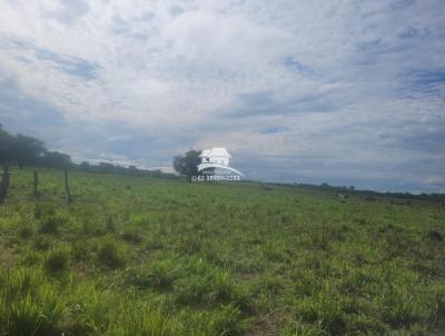 Fazenda para Venda, em Pequizeiro, bairro Área Rural Vale do Araguaia