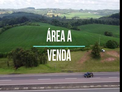 rea Industrial para Venda, em Mandirituba, bairro BR 116 EM FRENTE PARQUE MUNICIPAL ANGELO ZEGLIN PALU, LADO DA PRF