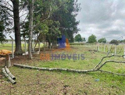 Terreno para Venda, em Piraquara, bairro Planta Vera Cruz