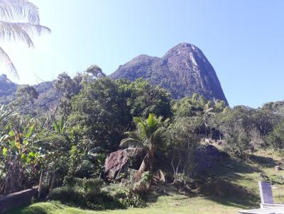 Stio para Venda, em Maca, bairro Bicuda Grande, 9 banheiros, 9 sutes