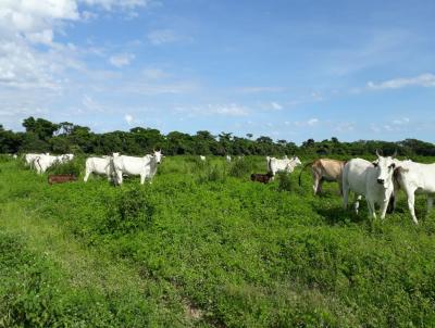 Fazenda para Venda, em So Romo, bairro , 4 dormitrios, 4 banheiros