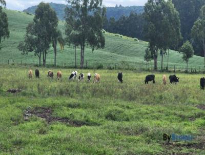 Fazenda para Venda, em Iva, bairro 