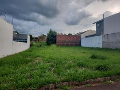 Terreno para Venda, em Cianorte, bairro Parque das Naes