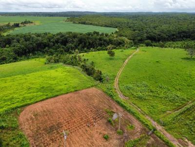 Fazenda para Venda, em Novo Acordo, bairro 