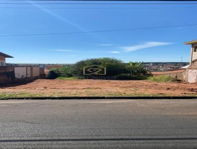 Terreno para Venda, em Botucatu, bairro Centro