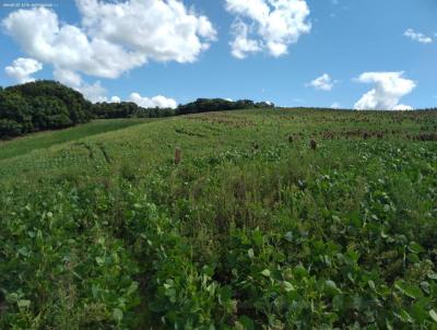 rea para Venda, em Marau, bairro Laranjeira