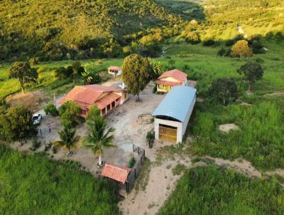 Fazenda para Venda, em Ponto dos Volantes, bairro Zona Rural