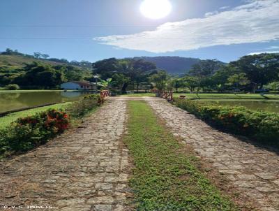 Sítio para Venda, em Cataguases, bairro