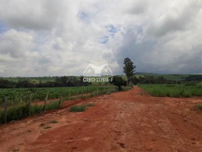 rea para Venda, em Elias Fausto, bairro Centro