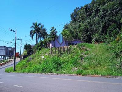 Terreno para Venda, em Concrdia, bairro Sintrial