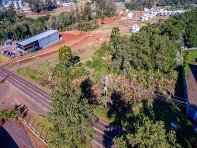 Terreno para Venda, em Erechim, bairro FRINAPE