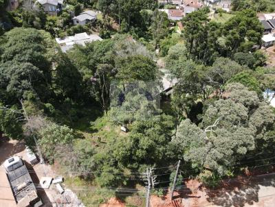 Terreno para Venda, em Campos do Jordo, bairro Nova suia