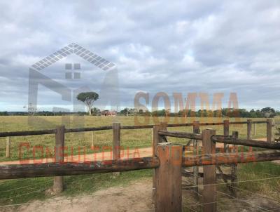 Fazenda para Venda, em Porto Seguro, bairro Vera Cruz