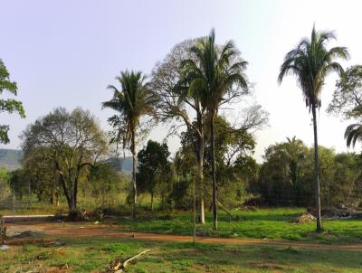 Terreno para Venda, em Aquidauana, bairro Piraputanga