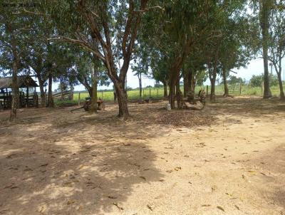 Fazenda para Venda, em , bairro .