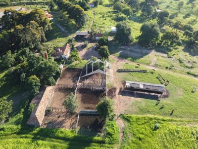 Fazenda para Venda, em Bocaiva, bairro ZONA RURAL