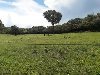 Fazenda para Venda, em Barrolndia, bairro 