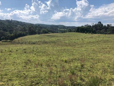 Terreno para Venda, em Campo Alegre, bairro Laranjeiras