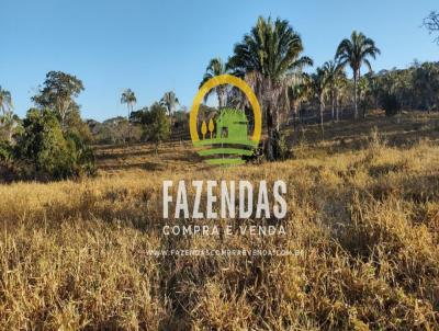 Fazenda para Venda, em Caldas Novas, bairro rea Rural de Caldas Novas