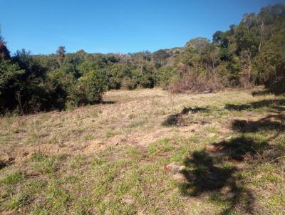 Terreno para Venda, em Munhoz, bairro rea Rural