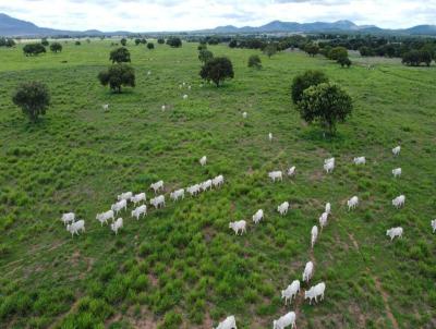 Fazenda para Venda, em Aliana do Tocantins, bairro , 6 dormitrios