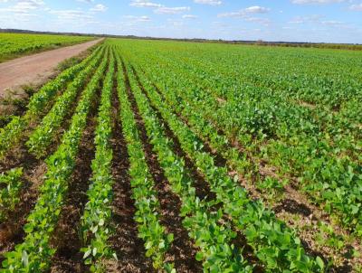 Fazenda para Venda, em Lagoa da Confuso, bairro , 3 dormitrios