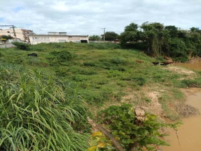 Lote para Venda, em Rio Pomba, bairro Na entrada do Bairro Santa Isabel