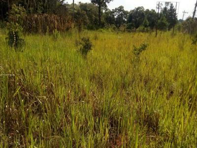 rea para Venda, em Cotia, bairro Caucaia do Alto