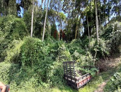 Terreno para Venda, em Ribeiro Pires, bairro Pilar Velho