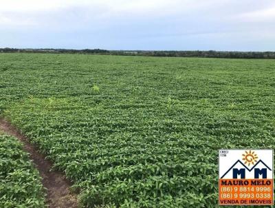 Fazenda para Venda, em Riacho, bairro .