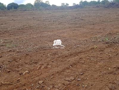 Fazenda para Venda, em Ftima, bairro Regio altamente produtiva