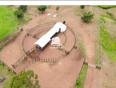 Fazenda para Venda, em Palmas, bairro Regio altamente produtiva