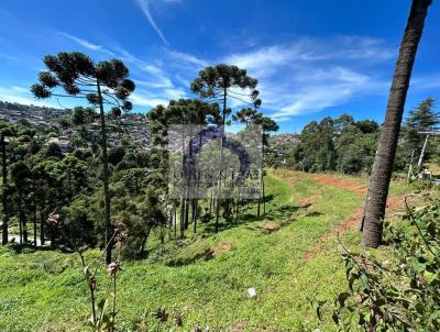 rea para Venda, em , bairro Vila Britania