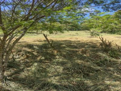 Terreno para Venda, em Miguel Pereira, bairro Baro de Javary