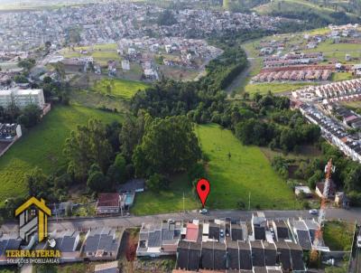 Terreno para Venda, em Telmaco Borba, bairro Jardim Italia