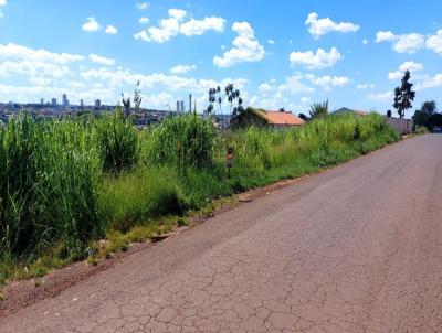 Terreno para Venda, em Jata, bairro Vila Sofia