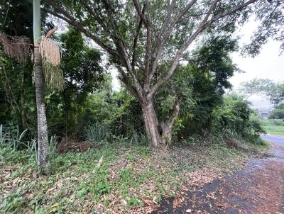 Terreno para Venda, em Maric, bairro Vivendas de Itaipuau, 1 dormitrio